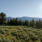 TBD White Wolf Trail