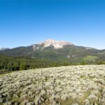 TBD White Wolf Trail