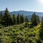 Big Sky MT 59716 - 1