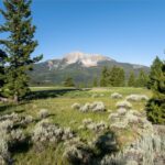 TBD White Wolf Trail