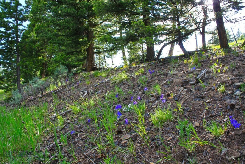 TBD Wilderness Ridge Trail