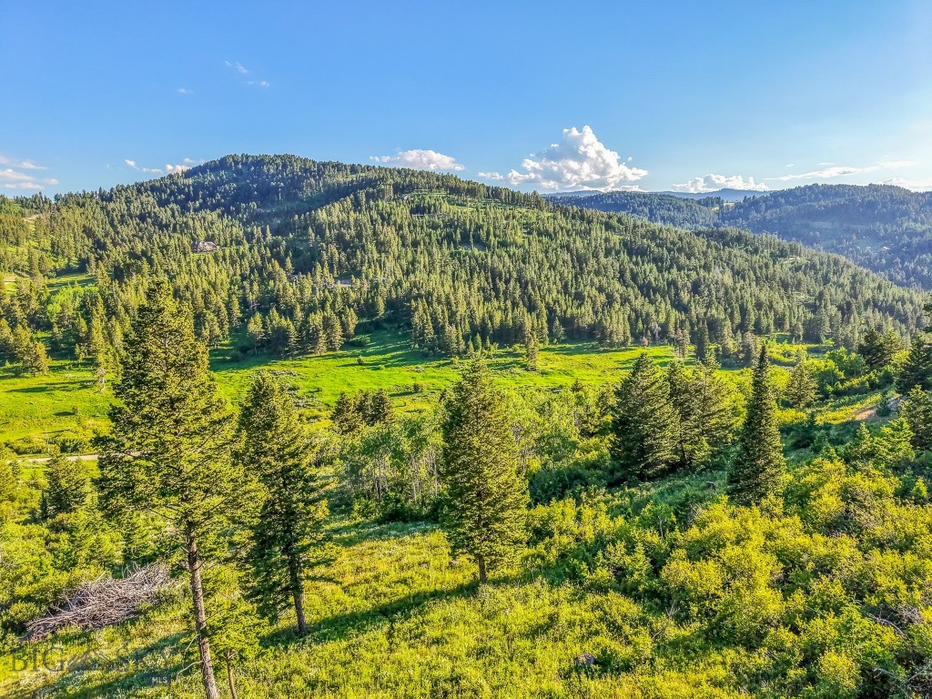 Bozeman MT 59715 - 1