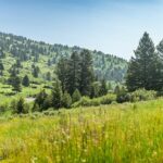 Bozeman MT 59715 - 6