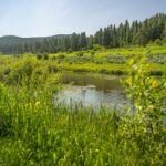 Bozeman MT 59715 - 8