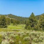 Bozeman MT 59715 - 9