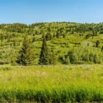 Bozeman MT 59715 - 10