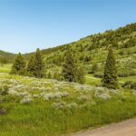 Bozeman MT 59715 - 11