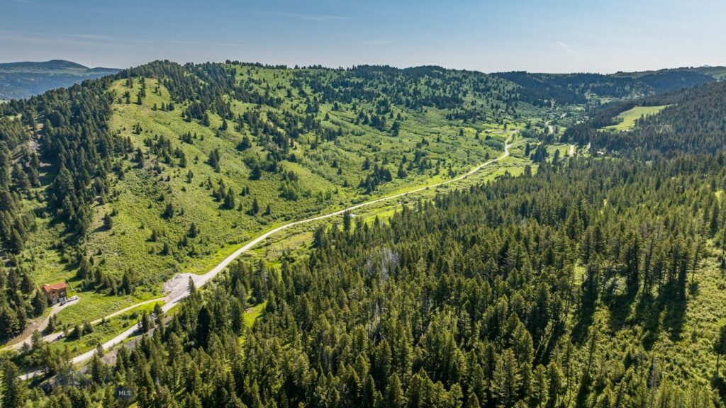 Bozeman MT 59715 - 12