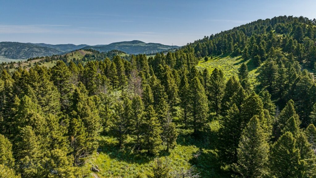 Bozeman MT 59715 - 13