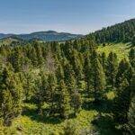 Bozeman MT 59715 - 13