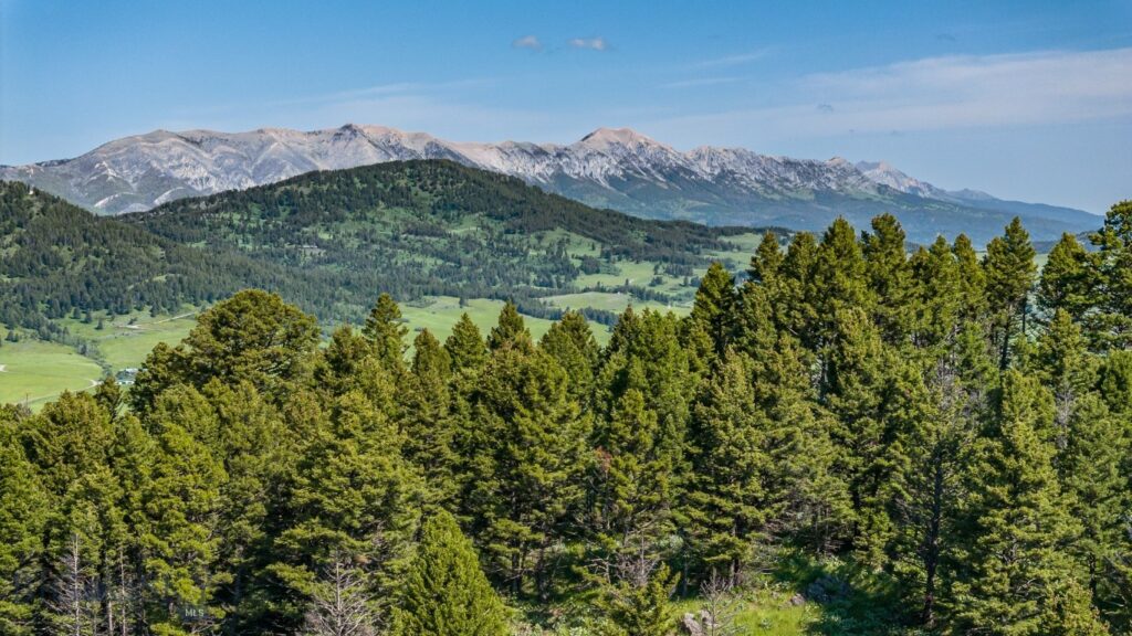 Bozeman MT 59715 - 14