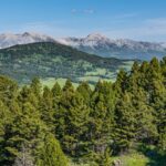 Bozeman MT 59715 - 14