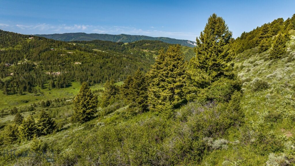 Bozeman MT 59715 - 16