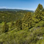 Bozeman MT 59715 - 16