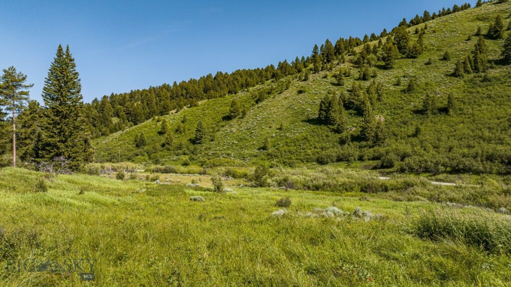 Bozeman MT 59715 - 17