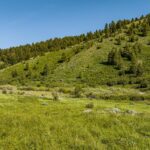 Bozeman MT 59715 - 17