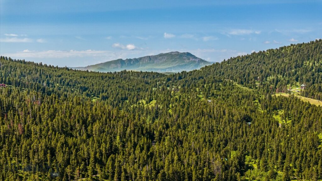 Bozeman MT 59715 - 19