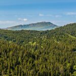 Bozeman MT 59715 - 19