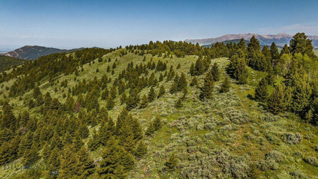 Bozeman MT 59715 - 20