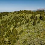 Bozeman MT 59715 - 20