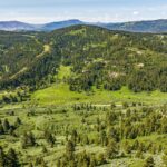 Bozeman MT 59715 - 21