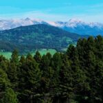 Bozeman MT 59715 - 22