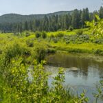 Bozeman MT 59715 - 23