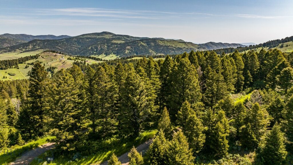 Bozeman MT 59715 - 4