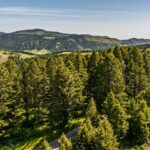 Bozeman MT 59715 - 4