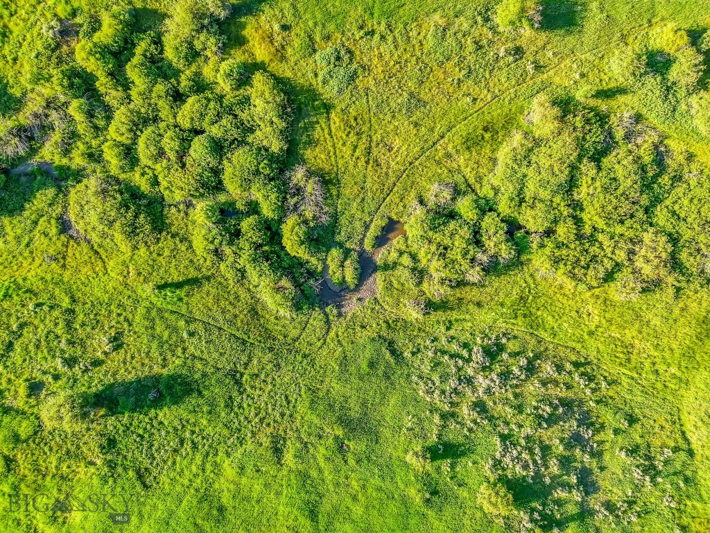 Bozeman MT 59715 - 5