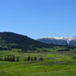 Bozeman MT 59715 - 1