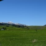 Bozeman MT 59715 - 3
