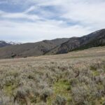 Tract 3A Continental Divide Ranch