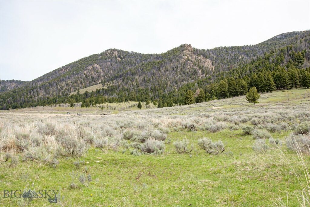 Tract 3A Continental Divide Ranch