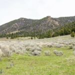 Tract 3A Continental Divide Ranch