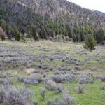 Tract 3A Continental Divide Ranch