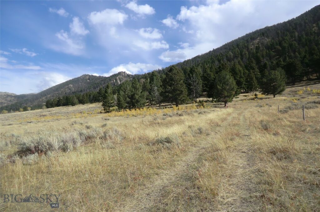 Tract 3A Continental Divide Ranch