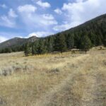 Tract 3A Continental Divide Ranch