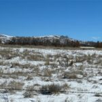 Tract 8 61.13 acres