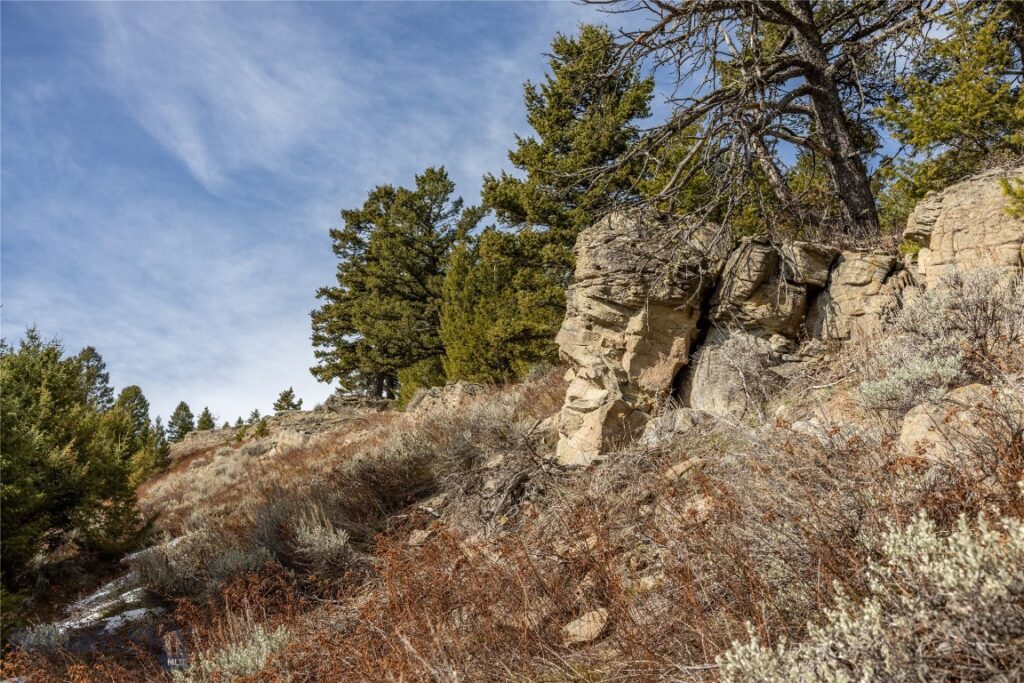 TBD Sunflower Lane LOT 4 Lane