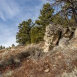 TBD Sunflower Lane LOT 4 Lane