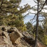 Bozeman MT 59718 - 6