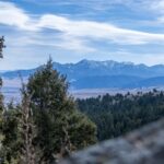 TBD Sunflower Lane LOT 4 Lane