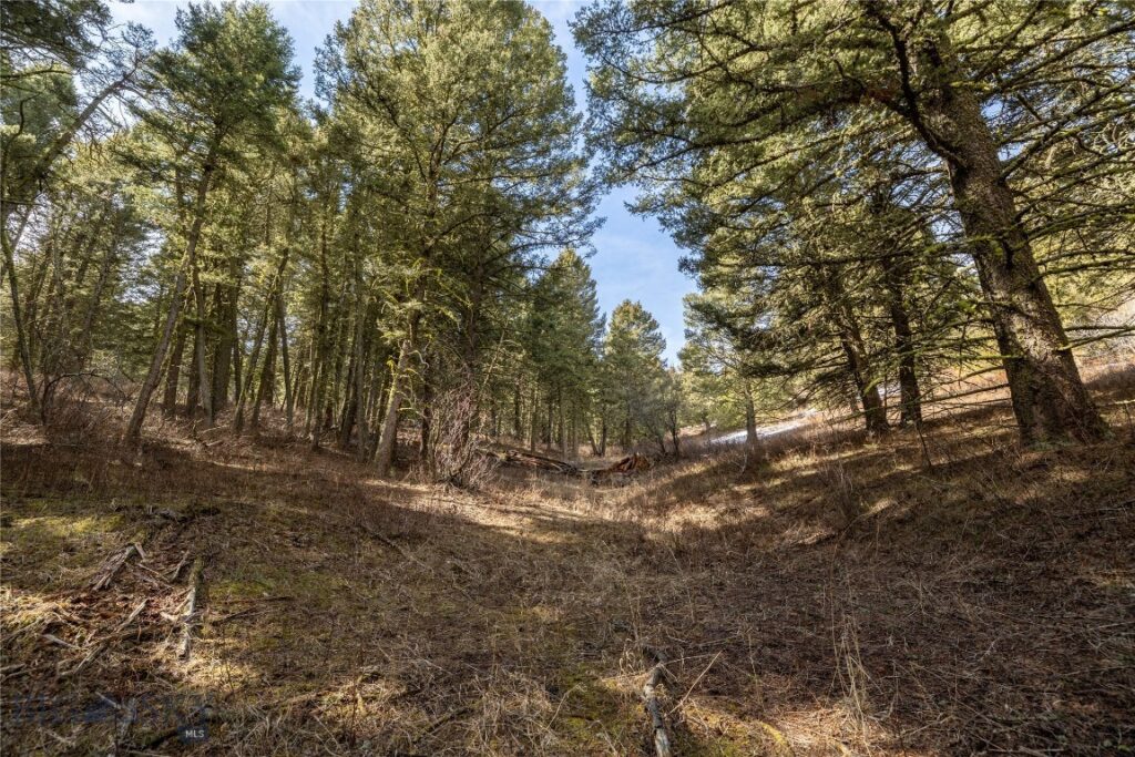 Bozeman MT 59718 - 7