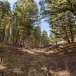 Bozeman MT 59718 - 7