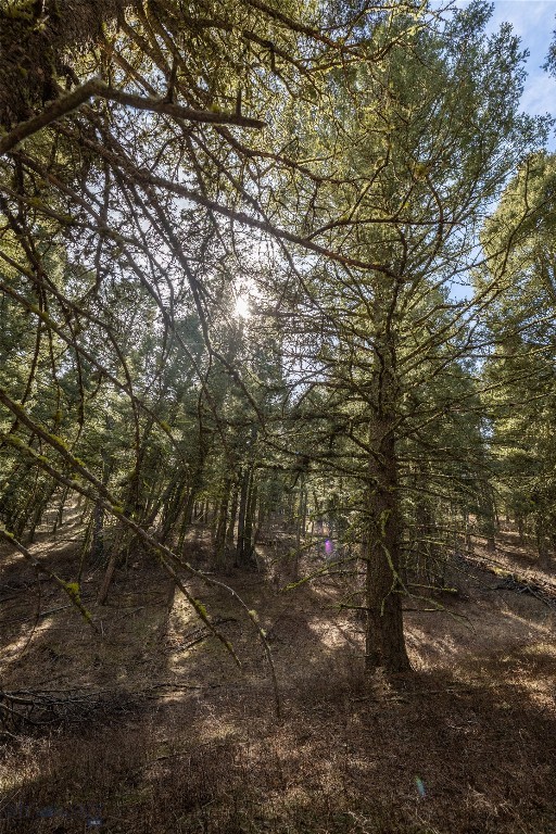 TBD Sunflower Lane LOT 4 Lane