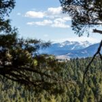 Bozeman MT 59718 - 8