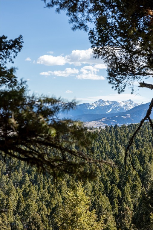 Bozeman MT 59718 - 8