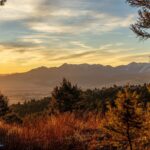 TBD Sunflower Lane LOT 4 Lane