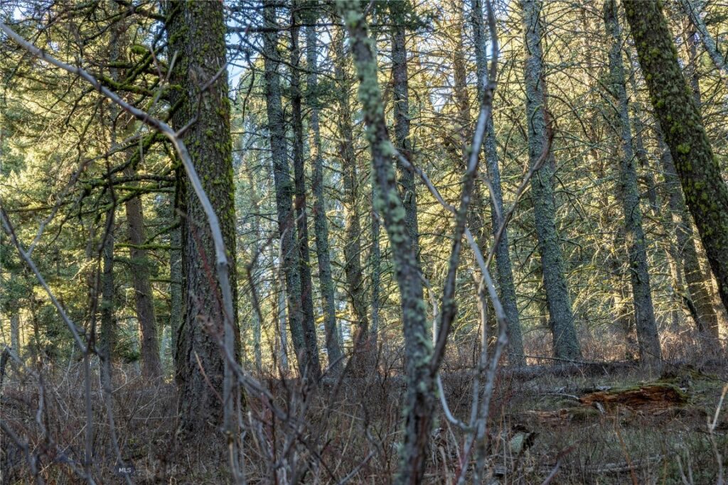 TBD Sunflower Lane LOT 4 Lane